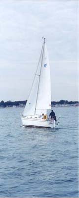 image4.jpg