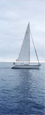 image5.jpg