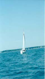 image7.jpg